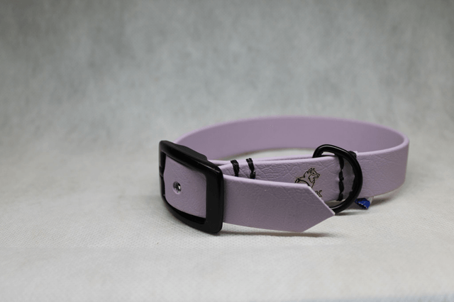 Collier sur-mesure en Biothane